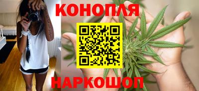 сатива Заволжье