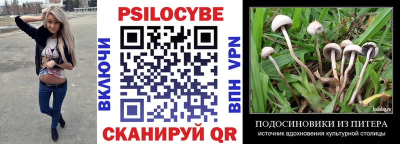 где купить наркотик  Минусинск  Псилоцибиновые грибы мухоморы 