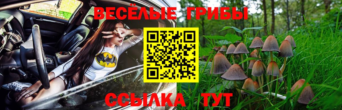 где купить наркоту  Вход с VPN  Минусинск  Псилоцибиновые грибы мицелий 